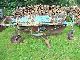 1968 Fortschritt  E 247 Agricultural vehicle Haymaking equipment photo 4