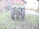 1969 Holder  Group 3 Agricultural vehicle Farmyard tractor photo 2
