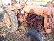 1955 IHC  Farmall diesel 3Zylinder Agricultural vehicle Tractor photo 1