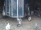 1985 Kempf  Horse trailer manufacturer is KRESS Trailer Cattle truck photo 2