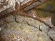 1995 Komatsu  D65EX-12 Construction machine Dozer photo 5