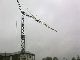 2005 Liebherr  K63, 4 TO, 45/45 meter, TOP CONDITION Construction machine Construction crane photo 1