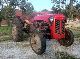 Massey Ferguson  TED 1954 Tractor photo