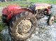 1954 Massey Ferguson  TED Agricultural vehicle Tractor photo 1