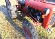 1962 Massey Ferguson  MF35 Agricultural vehicle Tractor photo 5