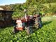 1975 Massey Ferguson  MF 158 Agricultural vehicle Tractor photo 1