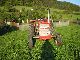 1975 Massey Ferguson  MF 158 Agricultural vehicle Tractor photo 3