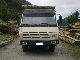 1989 Steyr  19 S31, without a crane Truck over 7.5t Timber carrier photo 1