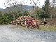 1965 Hanomag  Perfect 401 Agricultural vehicle Farmyard tractor photo 3