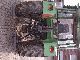 1981 Fendt  306 LS Agricultural vehicle Tractor photo 3