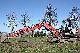 2001 Neuson  8002 RD + + crawler bucket Ditch Construction machine Caterpillar digger photo 5