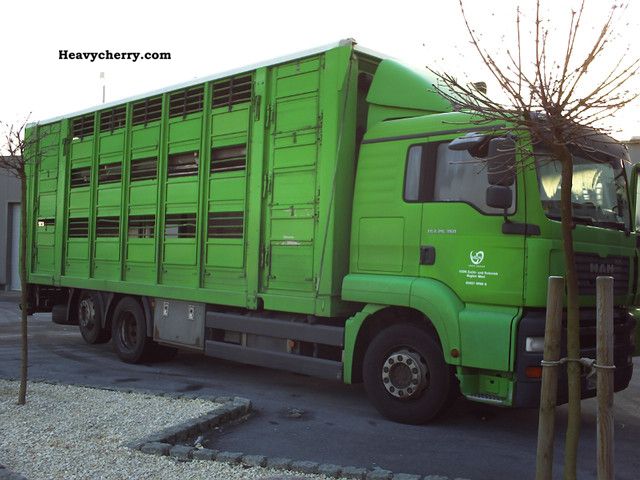 2003 MAN  TGA 3 26 360 POKŁADY, Winda, WAGA Truck over 7.5t Horses photo