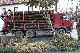 2005 MAN  26 480 Truck over 7.5t Timber carrier photo 2