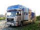 1998 MAN  Man 6 chevaux, pop-out, 205 mkm Truck over 7.5t Horses photo 2