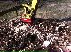 2012 Other  Root rat MS 08, clearing tree stump TOP Construction machine Other substructures photo 1