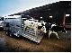 Other  HOWEVER BOARD Livestock Transporter - 3.5 t total permissible weight z 2011 Cattle truck photo