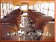 1988 Other  American school bus party bus U.S. Army shortly Coach Other buses and coaches photo 2