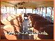 1988 Other  American school bus party bus U.S. Army shortly Coach Other buses and coaches photo 6