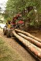 1990 Other  WELTE ES 100 / 5L Agricultural vehicle Forestry vehicle photo 2