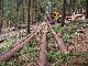 1990 Other  WELTE ES 100 / 5L Agricultural vehicle Forestry vehicle photo 3