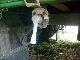 1996 Other  Schier cargo trailer Mega Semi-trailer Stake body and tarpaulin photo 10