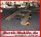 2011 Other  TOP trailer for small cars! Trailer Car carrier photo 5