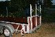 1992 Other  Mini digger trailer ramp 2600 kg Trailer Trailer photo 1