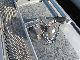 2008 Other  PETROL / DIESEL - ACERBI - VIBERTI-ITALIA Semi-trailer Tank body photo 11