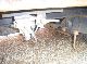 1999 Other  TDAL 18 Trailer Stake body and tarpaulin photo 3