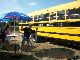 1994 Other  International School Bus Schoolbus AmTram Coach Other buses and coaches photo 10