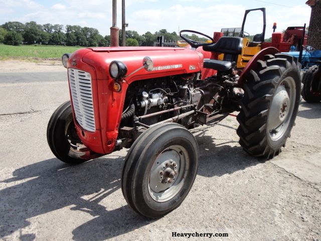 1957 Massey Ferguson  35 Agricultural vehicle Tractor photo