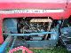 1964 Massey Ferguson  Tractor Agricultural vehicle Tractor photo 2