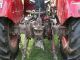 1980 Eicher  Mammoth 3353 74MF Agricultural vehicle Tractor photo 2