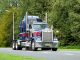 1993 Kenworth  W900L Semi-trailer truck Heavy load photo 4