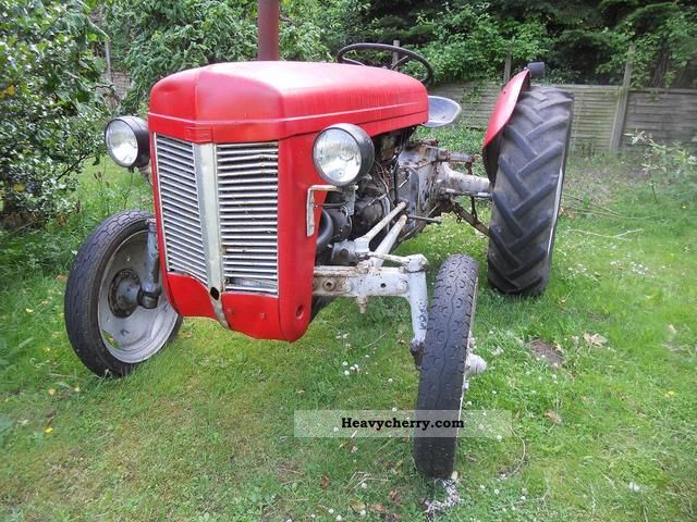 1950 Massey Ferguson  TEA20 Agricultural vehicle Farmyard tractor photo