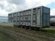 1991 Orthaus  3 stock. pig trailer Semi-trailer Cattle truck photo 3