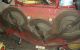1991 Gutbrod  4200 four-wheel tractor Agricultural vehicle Tractor photo 2