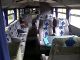 1972 Ikarus  55 party bus, event bus Coach Other buses and coaches photo 10