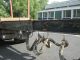 2000 Faymonville  KLHSA-2 - WOOD SHORT / LONG WOOD TRAILER Semi-trailer Timber carrier photo 4