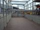 1998 Annaburger  LT 7:00 tandem axle trailer with steel cage Trailer Stake body photo 4