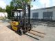 Steinbock  Boss NH 20 1 hand inspection New 1993 Front-mounted forklift truck photo