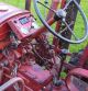 1954 Fahr  D 90 Agricultural vehicle Tractor photo 3