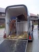 2004 Thiel  Woermann xenon Trailer Cattle truck photo 3