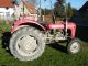 1957 Massey Ferguson  SDM 35 Agricultural vehicle Tractor photo 3