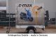 2008 Stedele  Single axle trailer with tarpaulin 2m 1.80 m Trailer Trailer photo 1
