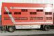 2006 Pezzaioli  For Cattle transport - Pigs or Cows - Trailer Cattle truck photo 1