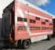 2006 Pezzaioli  For Cattle transport - Pigs or Cows - Trailer Cattle truck photo 2
