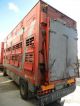 2006 Pezzaioli  For Cattle transport - Pigs or Cows - Trailer Cattle truck photo 3