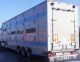 2008 Pezzaioli  For Cattle transport - Pigs or Cows - Semi-trailer Cattle truck photo 2