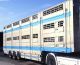 2008 Pezzaioli  For Cattle transport - Pigs or Cows - Semi-trailer Cattle truck photo 3